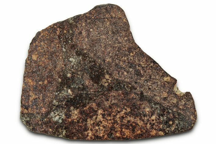 Chondrite Meteorite Section ( g) - NWA #347089